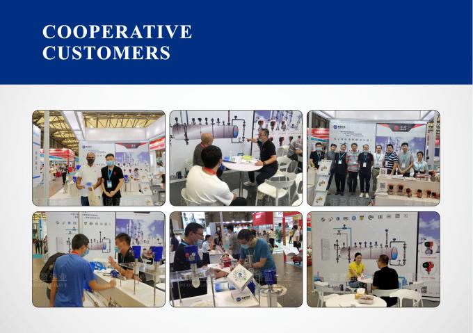 Transmetteur de température à l'épreuve des explosions Sensor industriel intelligent pour le carburant 8